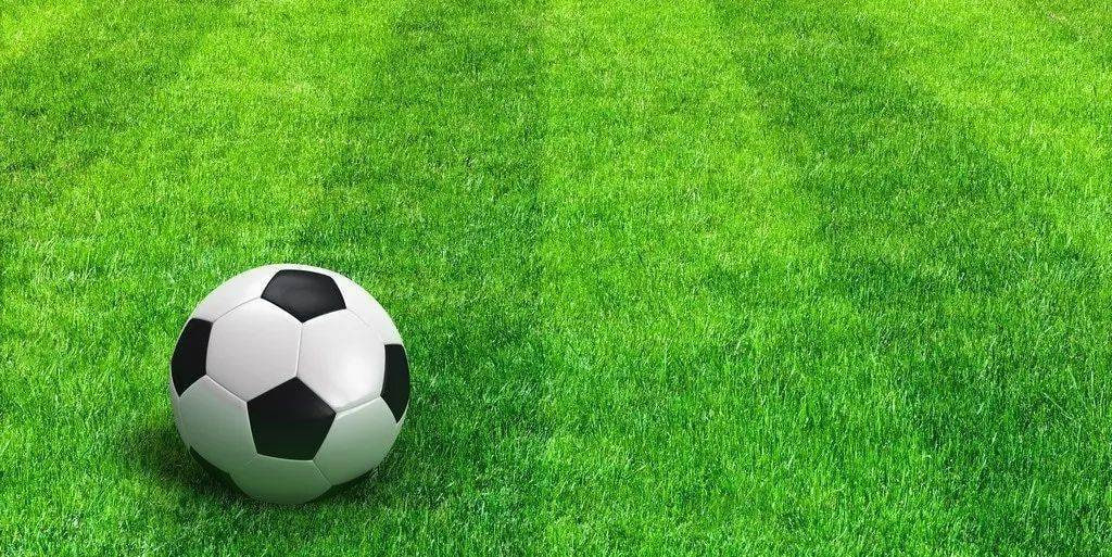 体育媒体工作者使用7m篮球即时比分进行新闻报道