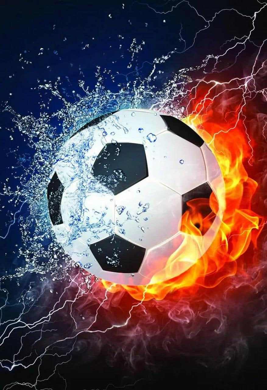 7m篮球即时比分多平台下载