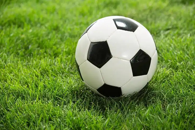 7m篮球即时比分使用流程示意图